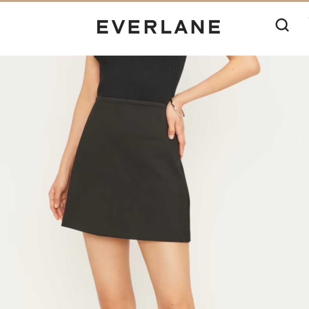 NWT Everlane The Dream Mini Skirt (S)